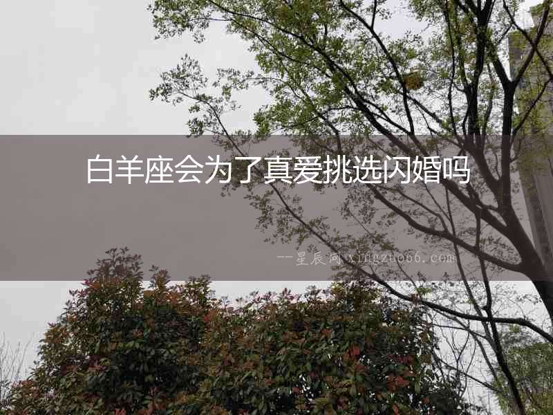 白羊座會(huì)為了真愛(ài)挑選閃婚嗎