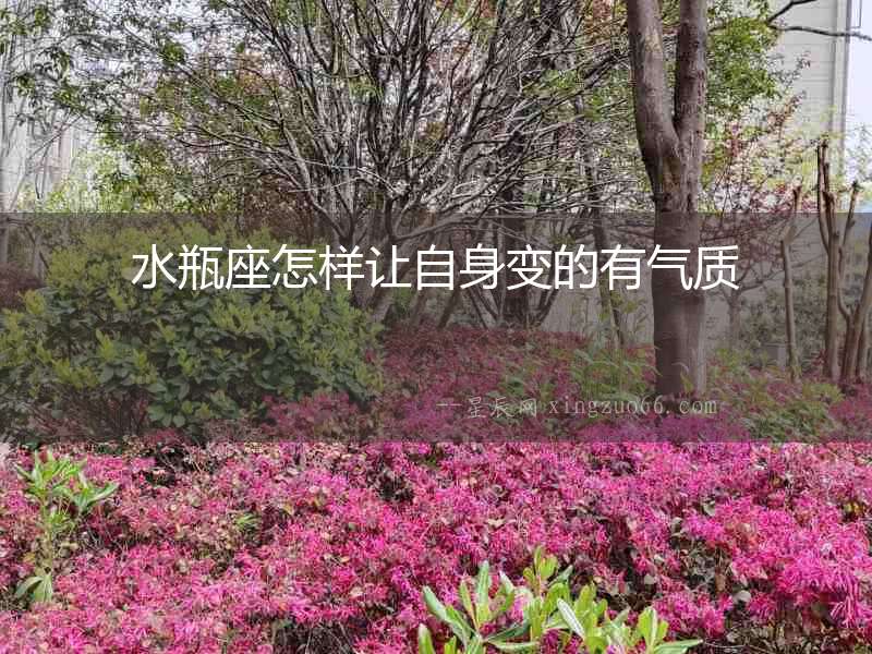 水瓶座怎樣讓自身變的有氣質
