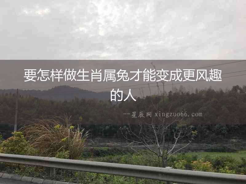 要怎樣做生肖屬兔才能變成更風趣的人