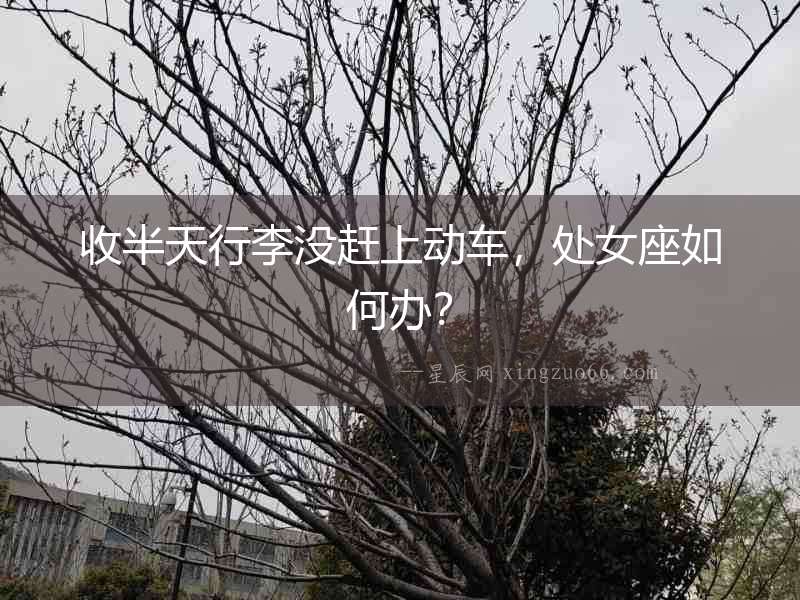 收半天行李沒趕上動(dòng)車，處女座如何辦？