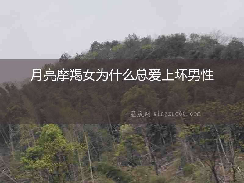 月亮摩羯女為什么總愛上壞男性