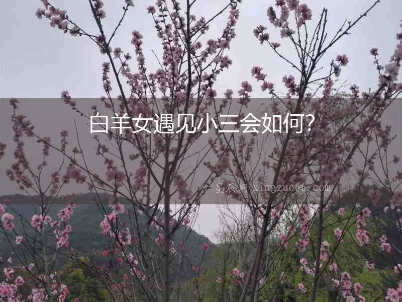 白羊女遇見小三會如何？