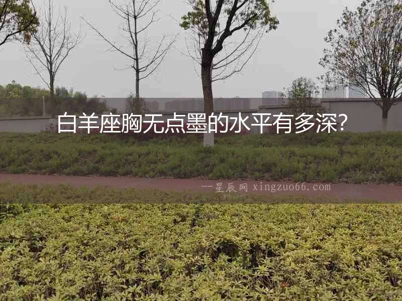 白羊座胸無點墨的水平有多深？