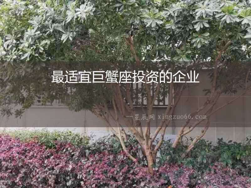 最適宜巨蟹座投資的企業(yè)