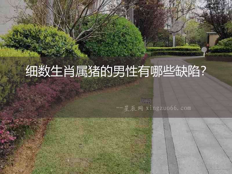 細數(shù)生肖屬豬的男性有哪些缺陷？