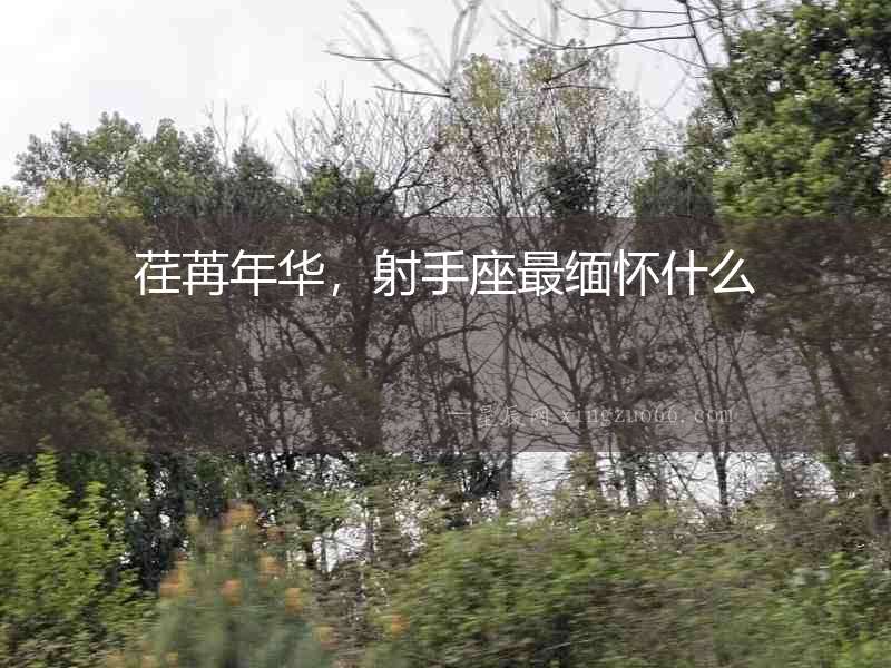 荏苒年華，射手座最緬懷什么