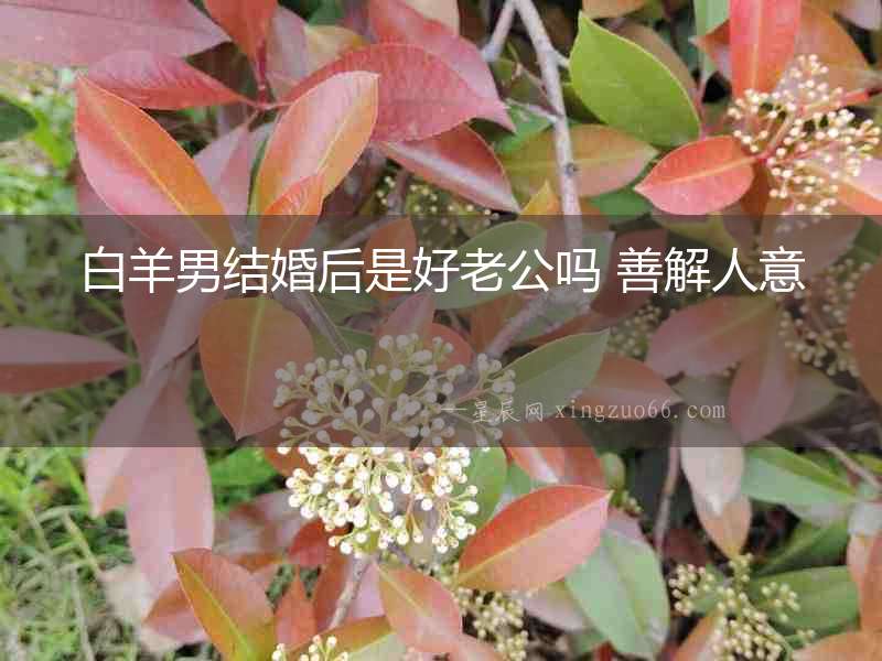白羊男結婚后是好老公嗎 善解人意