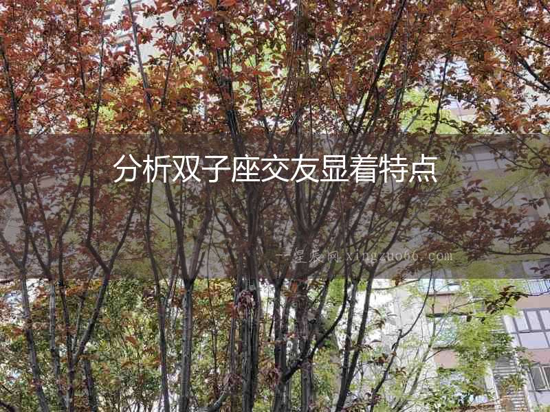 分析雙子座交友顯著特點(diǎn)