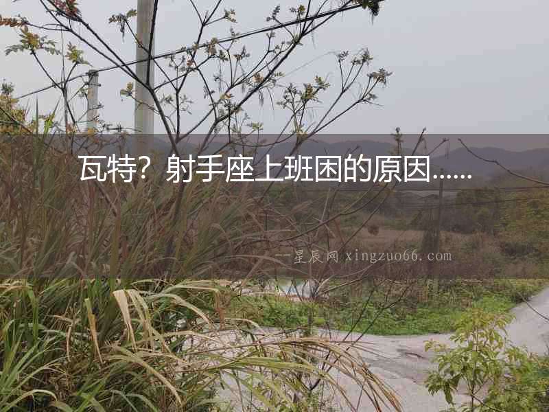 瓦特？射手座上班困的原因......