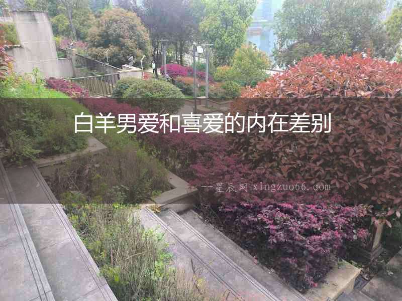白羊男愛和喜愛的內(nèi)在差別