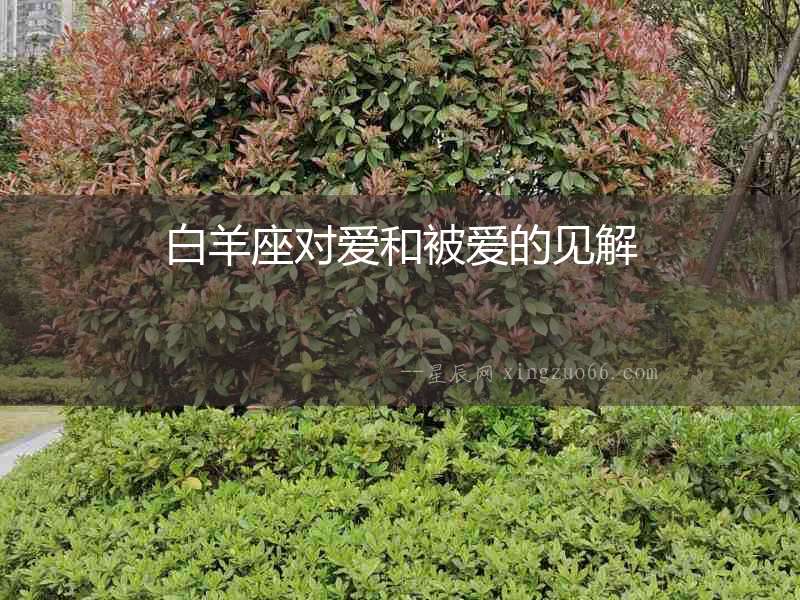 白羊座對(duì)愛(ài)和被愛(ài)的見(jiàn)解