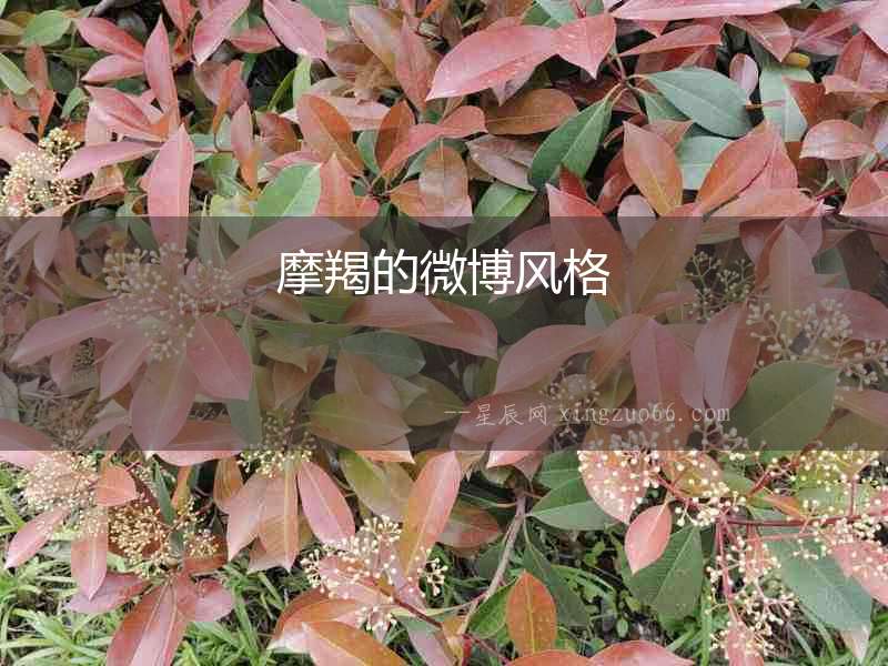 摩羯的微博風格