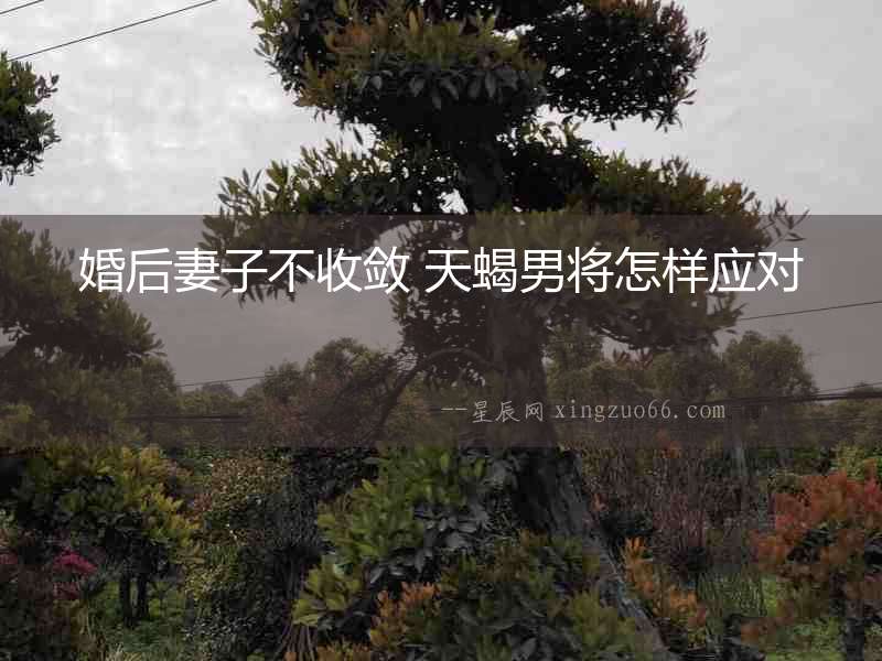 婚后妻子不收斂 天蝎男將怎樣應對