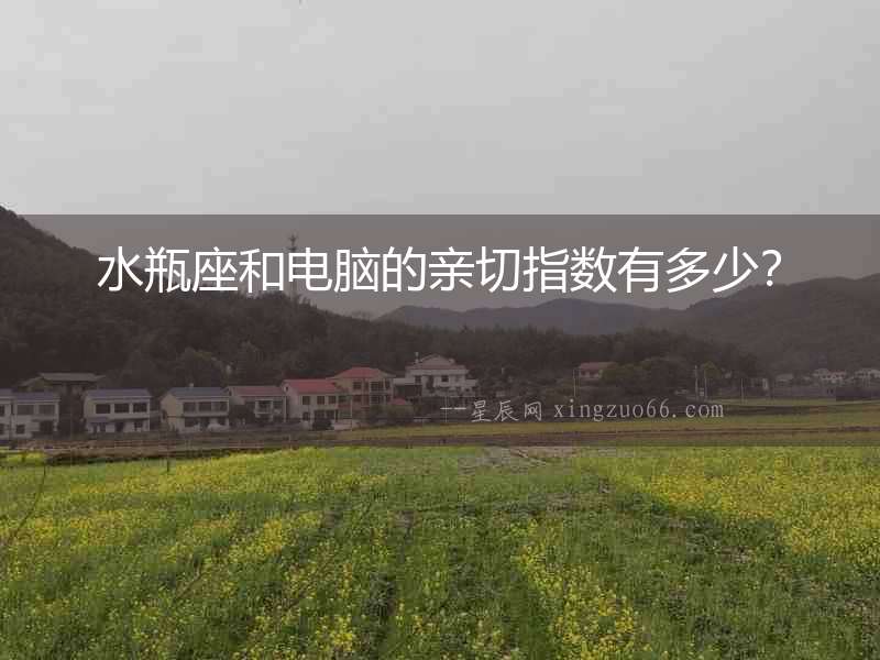 水瓶座和電腦的親切指數(shù)有多少？