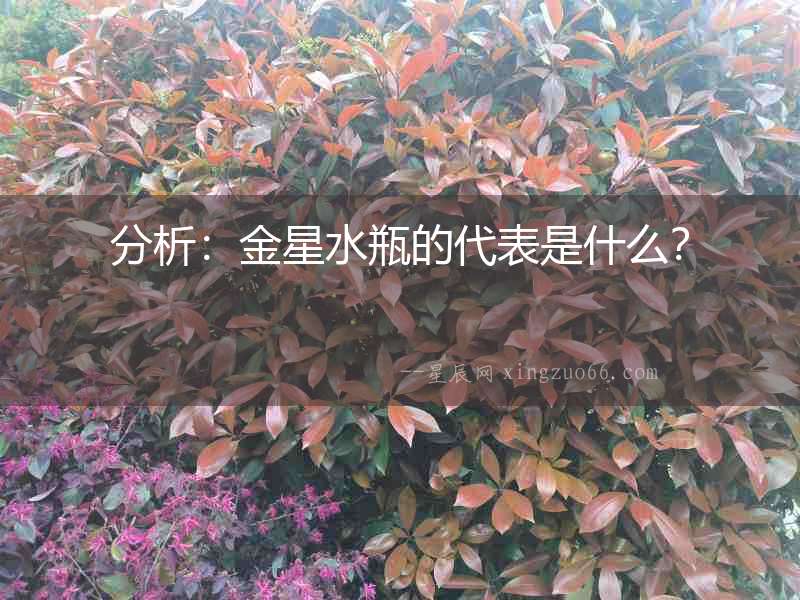 分析：金星水瓶的代表是什么？