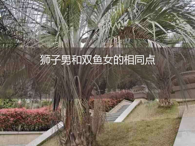 獅子男和雙魚女的相同點(diǎn)