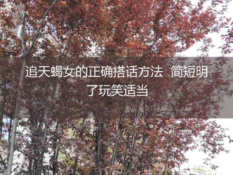 追天蝎女的正確搭話方法  簡短明了玩笑適當
