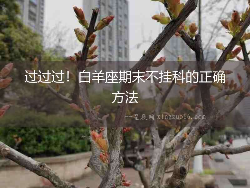 過過過！白羊座期末不掛科的正確方法