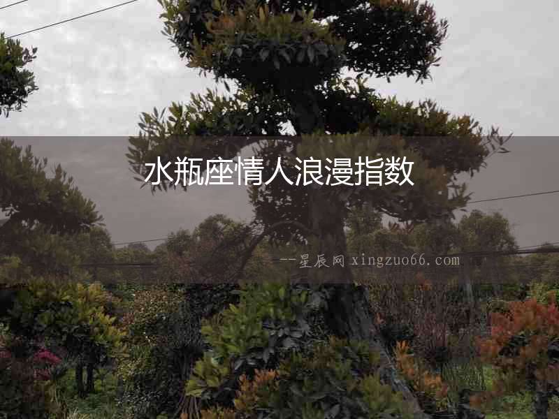 水瓶座情人浪漫指數