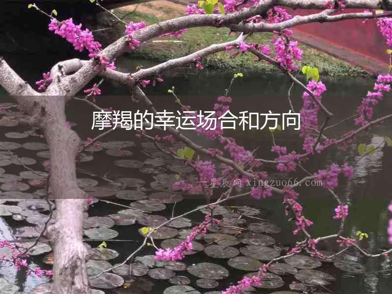 摩羯的幸運場合和方向