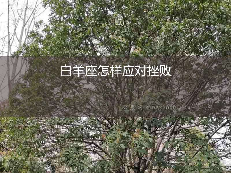 白羊座怎樣應(yīng)對(duì)挫敗