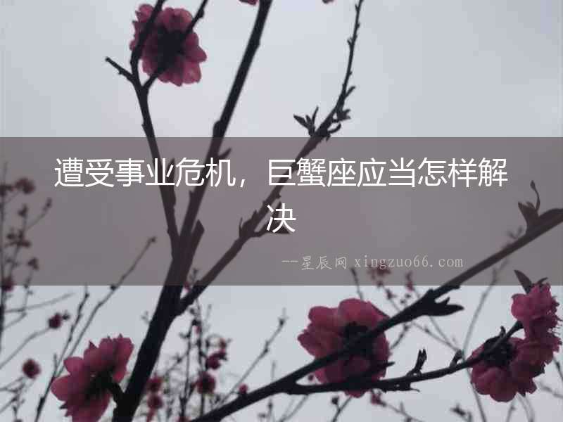 遭受事業危機，巨蟹座應當怎樣解決