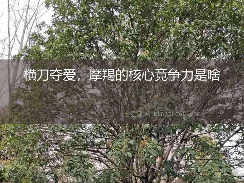 橫刀奪愛，摩羯的核心競爭力是啥