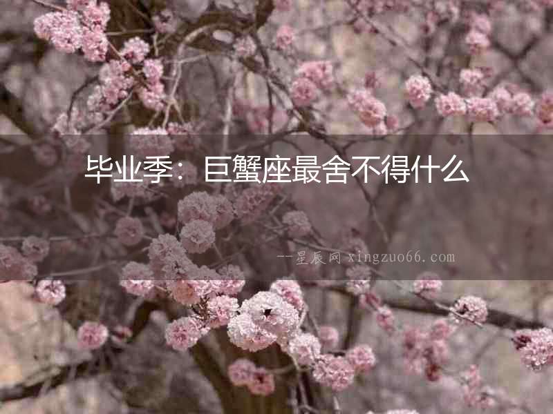 畢業季：巨蟹座最舍不得什么
