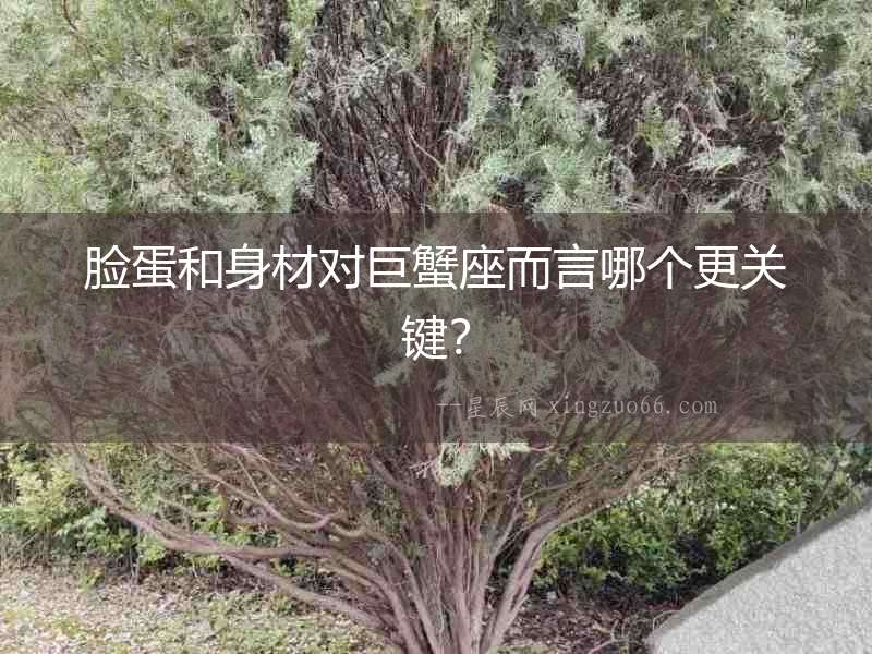 臉蛋和身材對(duì)巨蟹座而言哪個(gè)更關(guān)鍵？