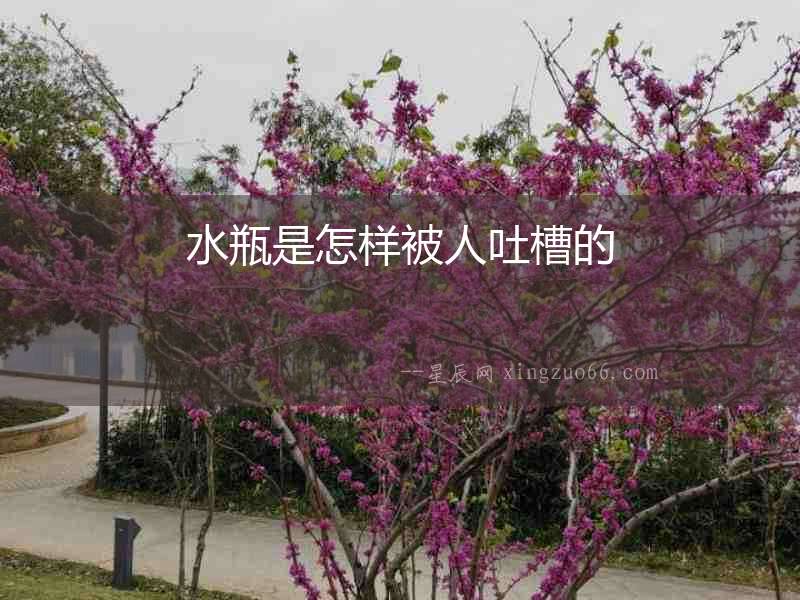 水瓶是怎樣被人吐槽的