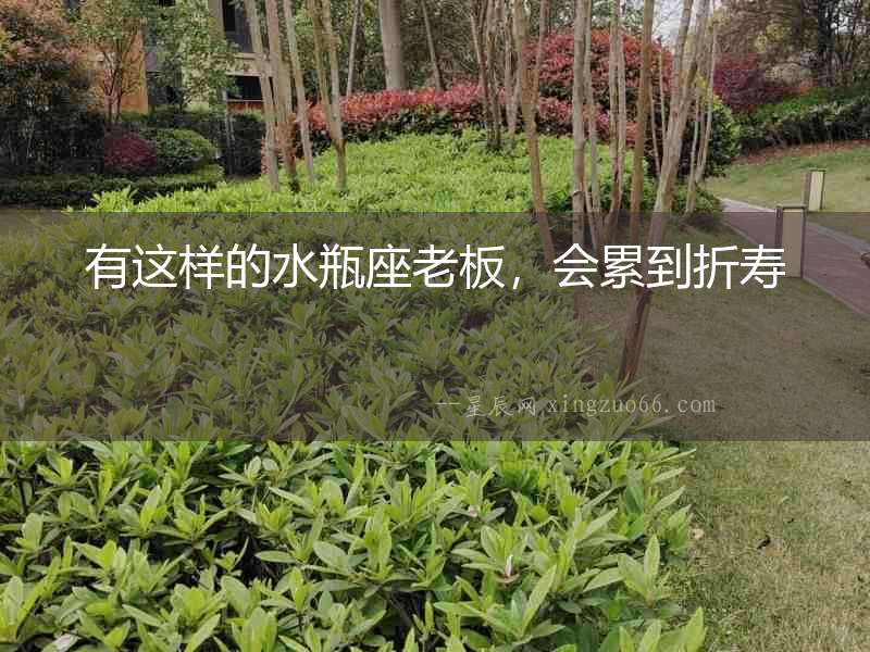 有這樣的水瓶座老板，會累到折壽