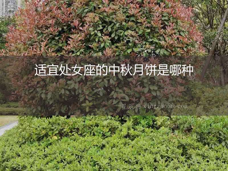 適宜處女座的中秋月餅是哪種
