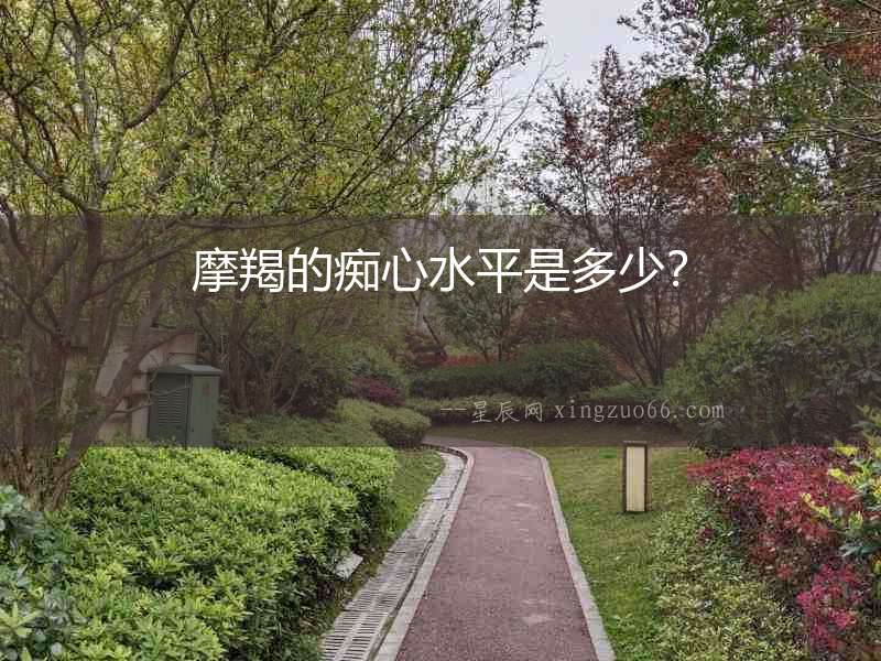 摩羯的癡心水平是多少？