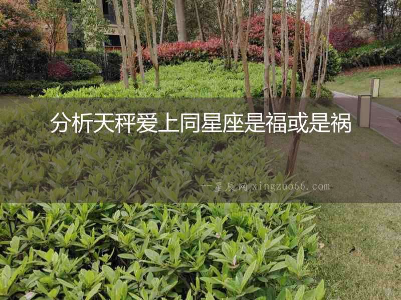 分析天秤愛上同星座是?;蚴堑? alt=