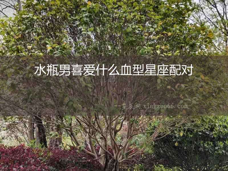 水瓶男喜愛(ài)什么血型星座配對(duì)
