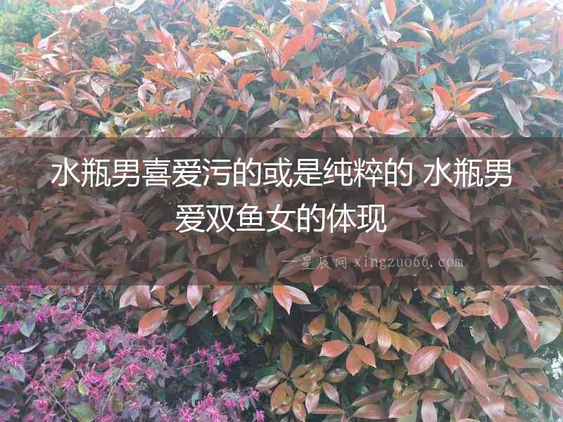 水瓶男喜愛污的或是純粹的 水瓶男愛雙魚女的體現