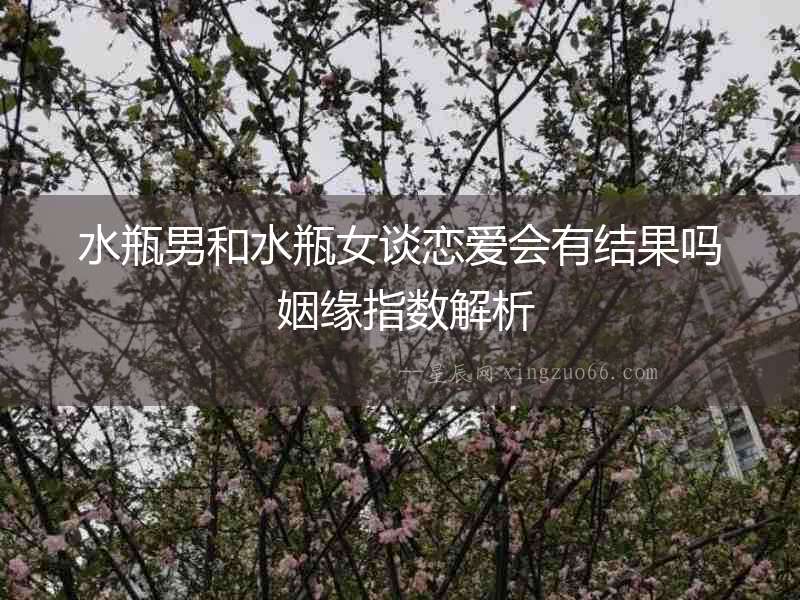 水瓶男和水瓶女談戀愛會(huì)有結(jié)果嗎 姻緣指數(shù)解析