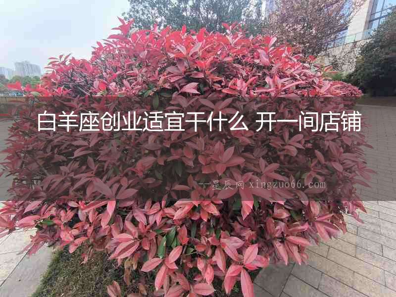 白羊座創業適宜干什么 開一間店鋪