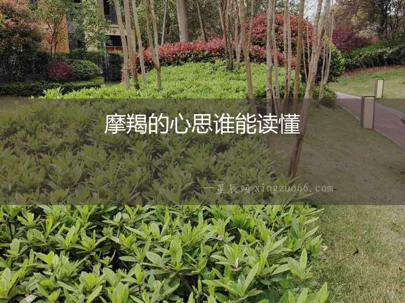 摩羯的心思誰能讀懂