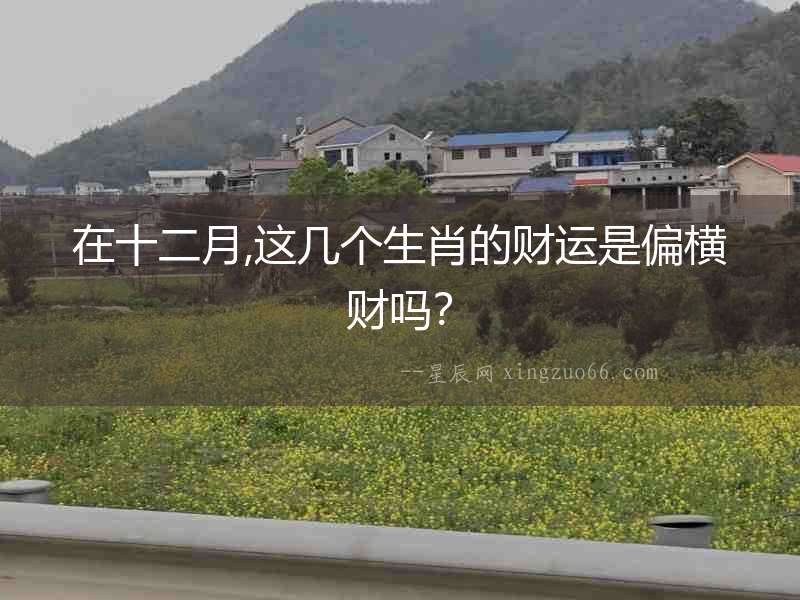 在十二月,這幾個(gè)生肖的財(cái)運(yùn)是偏橫財(cái)嗎？
