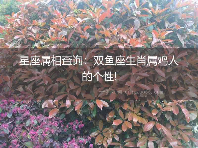 星座屬相查詢：雙魚座生肖屬雞人的個性!