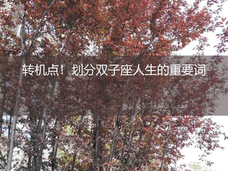 轉機點！劃分雙子座人生的重要詞