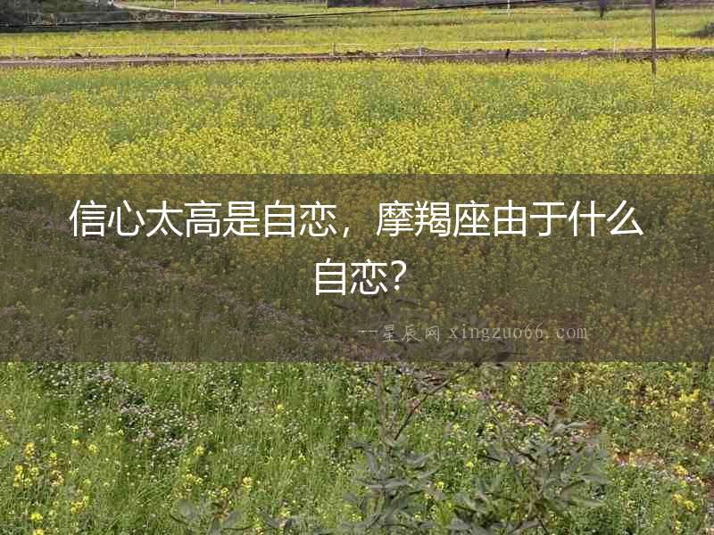 信心太高是自戀，摩羯座由于什么自戀？