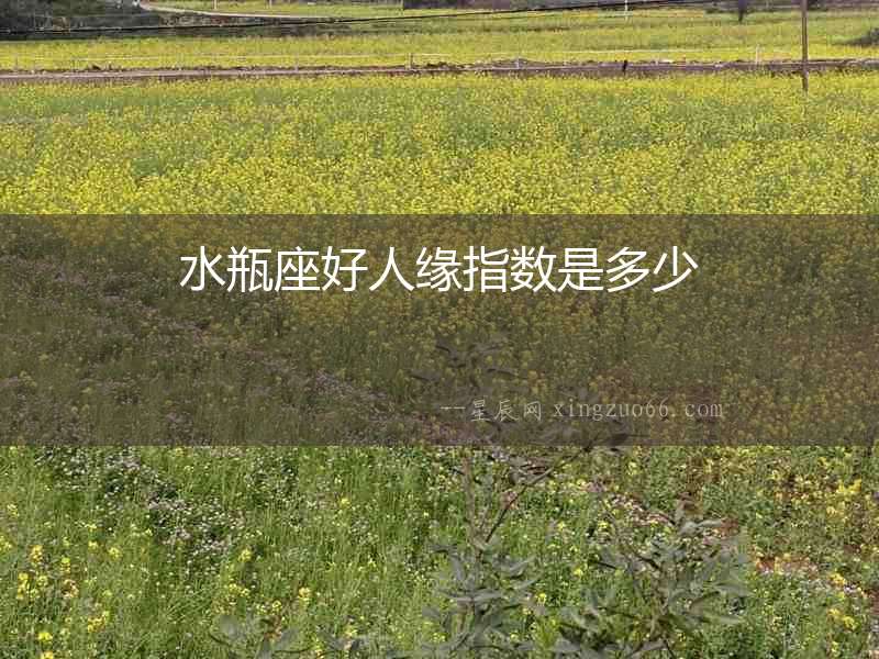 水瓶座好人緣指數(shù)是多少