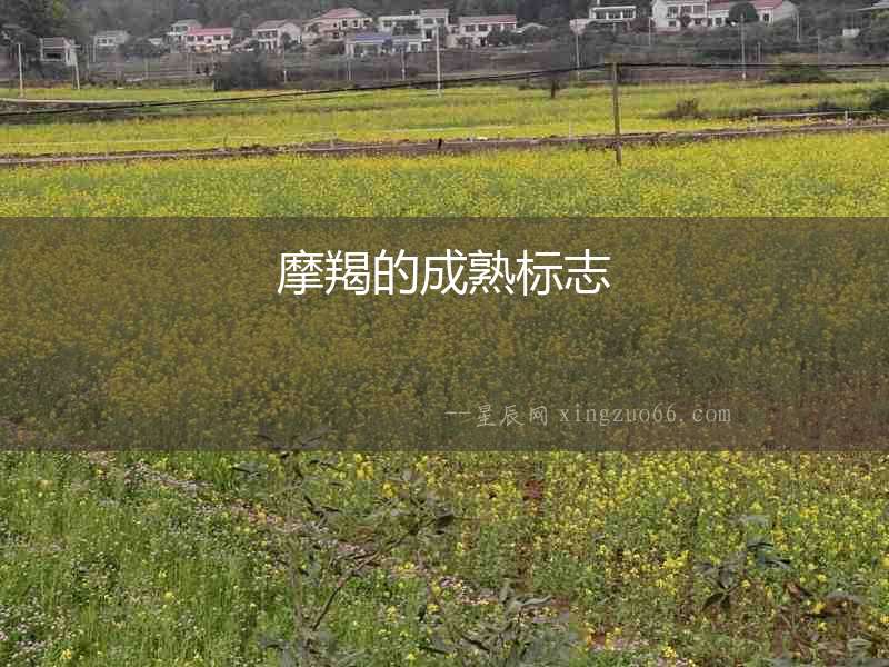 摩羯的成熟標志