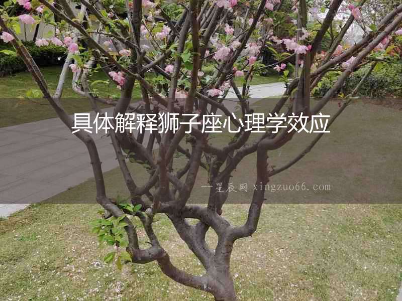 具體解釋獅子座心理學效應