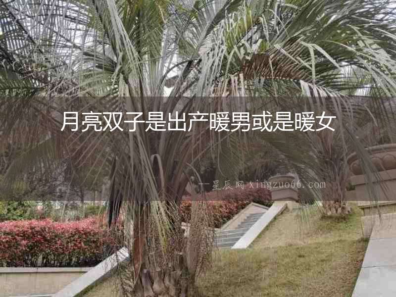 月亮雙子是出產(chǎn)暖男或是暖女