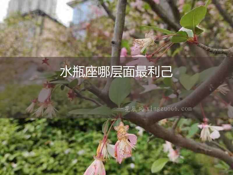 水瓶座哪層面最利己