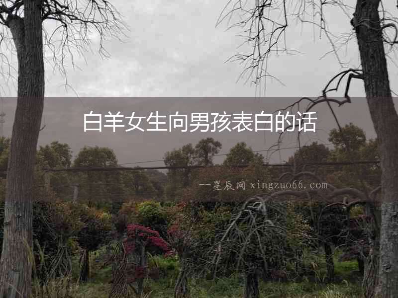 白羊女生向男孩表白的話