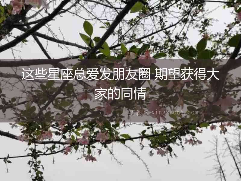 這些星座總愛發(fā)朋友圈 期望獲得大家的同情